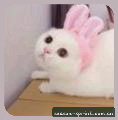 刘姐